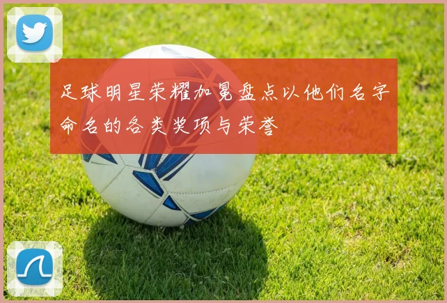 足球明星荣耀加冕盘点以他们名字命名的各类奖项与荣誉