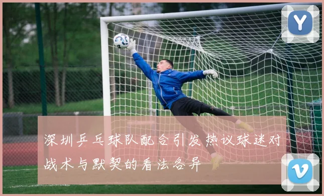 深圳乒乓球队配合引发热议球迷对战术与默契的看法各异