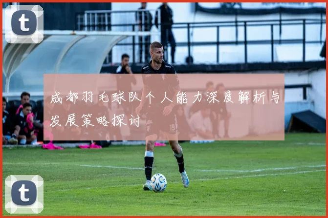 成都羽毛球队个人能力深度解析与发展策略探讨