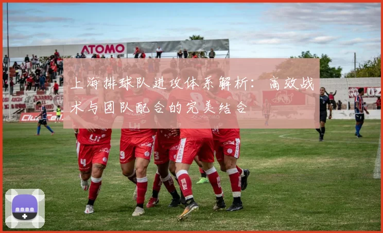 上海排球队进攻体系解析：高效战术与团队配合的完美结合