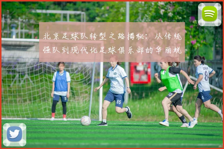北京足球队转型之路揭秘：从传统强队到现代化足球俱乐部的华丽蜕变