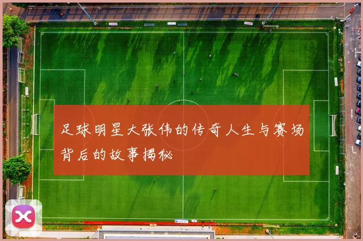 足球明星大张伟的传奇人生与赛场背后的故事揭秘
