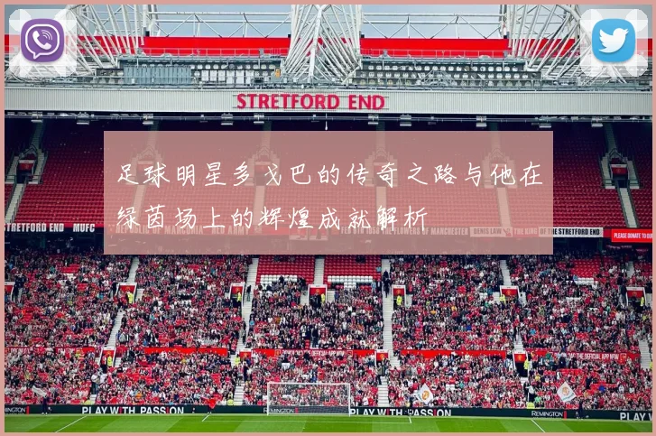 足球明星多戈巴的传奇之路与他在绿茵场上的辉煌成就解析