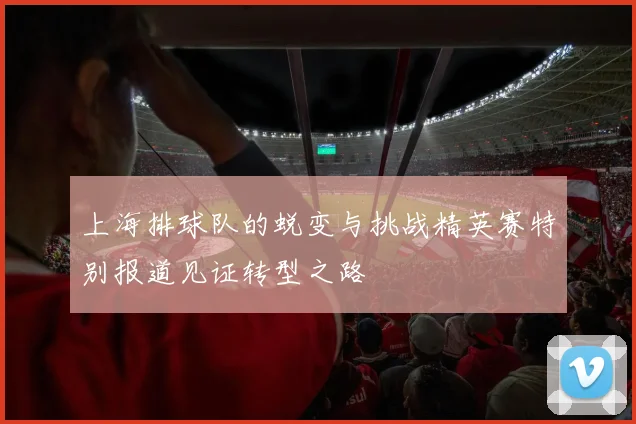 上海排球队的蜕变与挑战精英赛特别报道见证转型之路