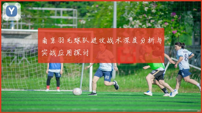 南京羽毛球队进攻战术深度分析与实战应用探讨
