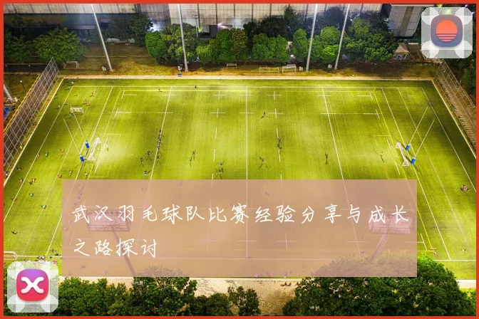 武汉羽毛球队比赛经验分享与成长之路探讨