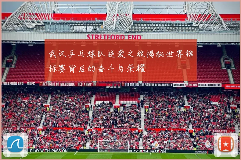 武汉乒乓球队逆袭之旅揭秘世界锦标赛背后的奋斗与荣耀