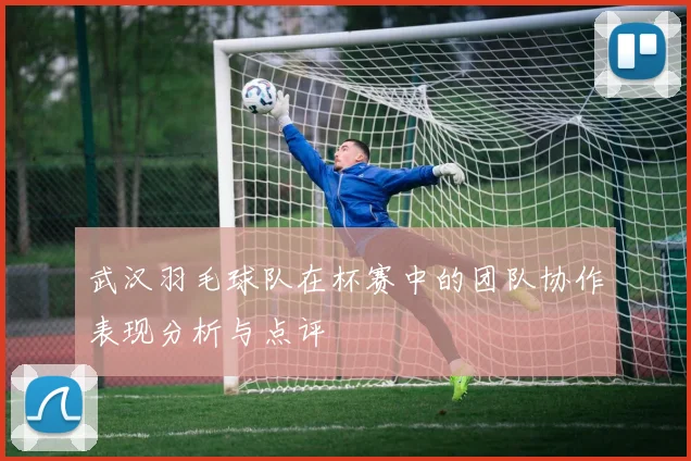 武汉羽毛球队在杯赛中的团队协作表现分析与点评